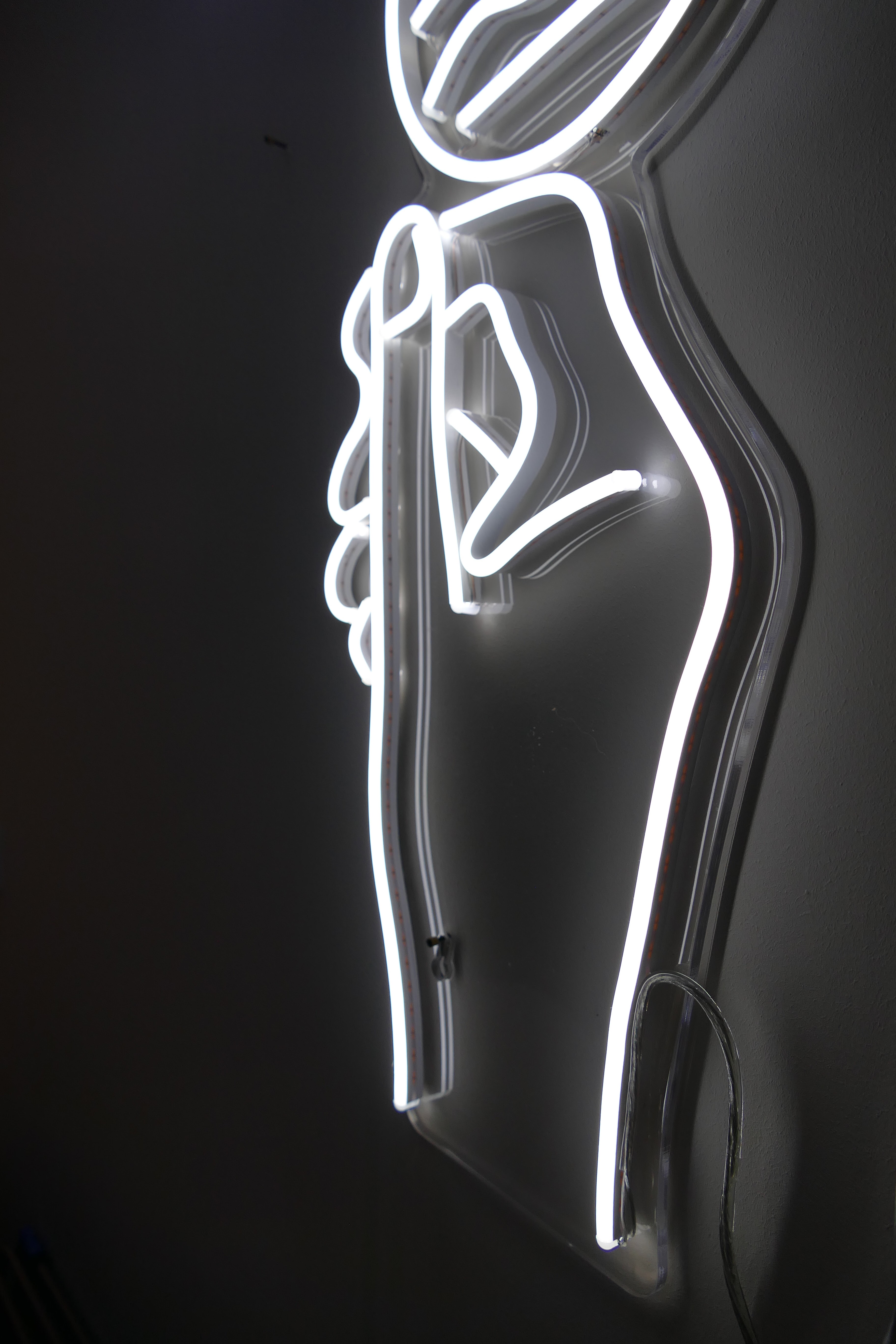 Best Neon Lights To Get For Your Home Neon Vibes Review fantail flo