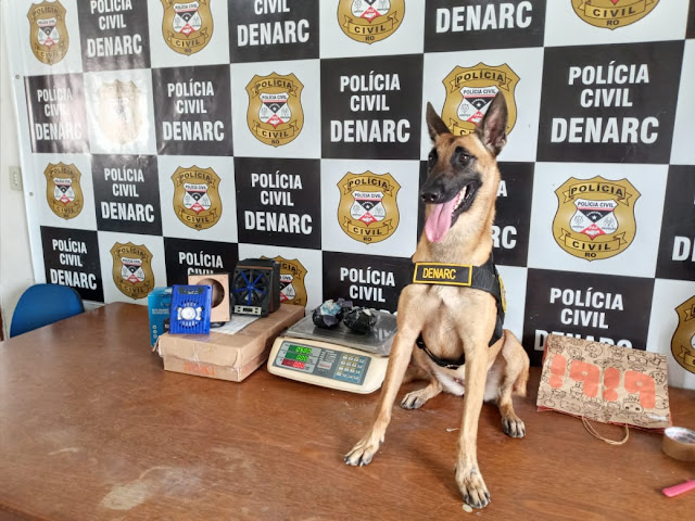 CORREIOS – Cadela do Departamento de Narcóticos encontra droga que iria de Porto Velho para o Maranhão