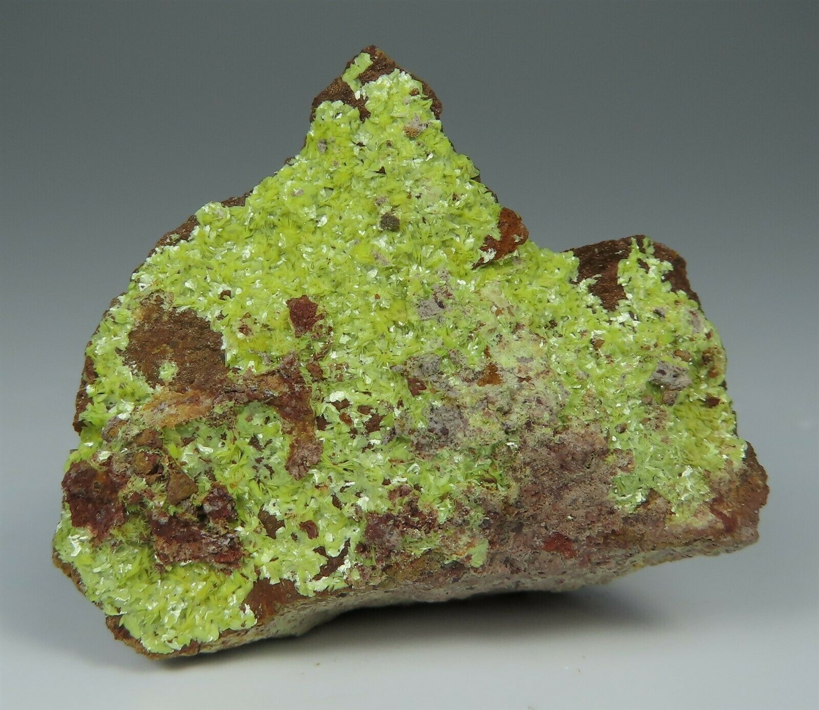 AE1S Science and Engineering Blog Some specimens from my Radioactive Mineral Collection