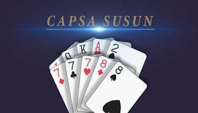 Capsa Susun