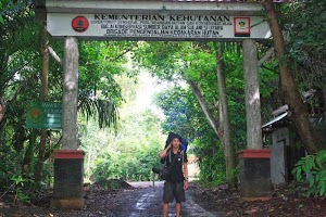 Taman Nasional Tangkoko Habitat Alami Tarsius dan Yaki