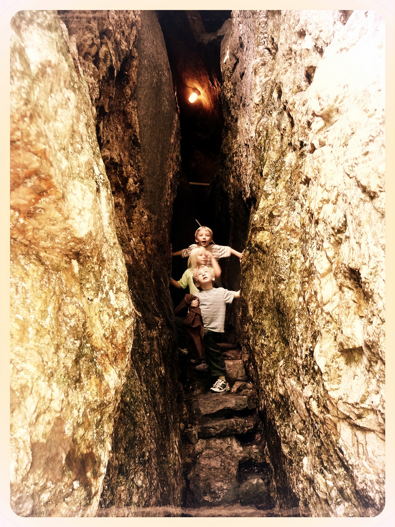 Where the Wild Things Are Polar Caves