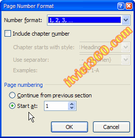Page Number Format word 2007