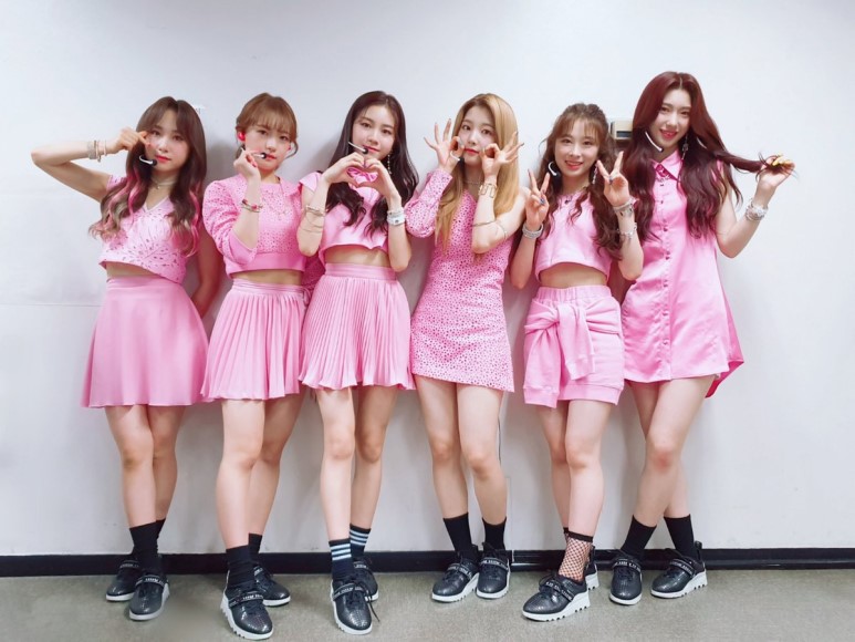 내새끼한테 쏟아붙는 악플들 위트있게 처리하는 팬들 | 인스티즈