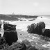 Yashica Mat 124G z Kodak T-Max 400
