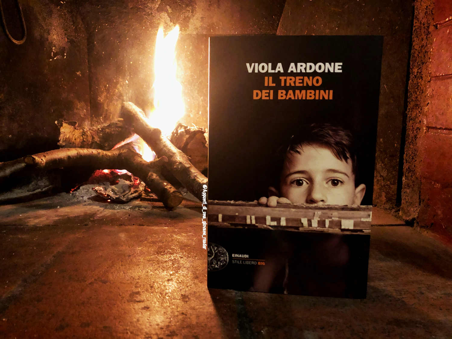 Appunti di una giovane reader: Recensione 'Il treno dei bambini' di Viola  Ardone