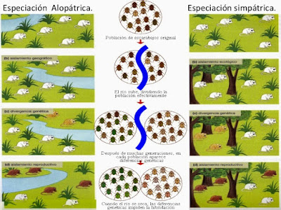 BIOLOGIA II: BARRERAS DE AISLAMIENTO