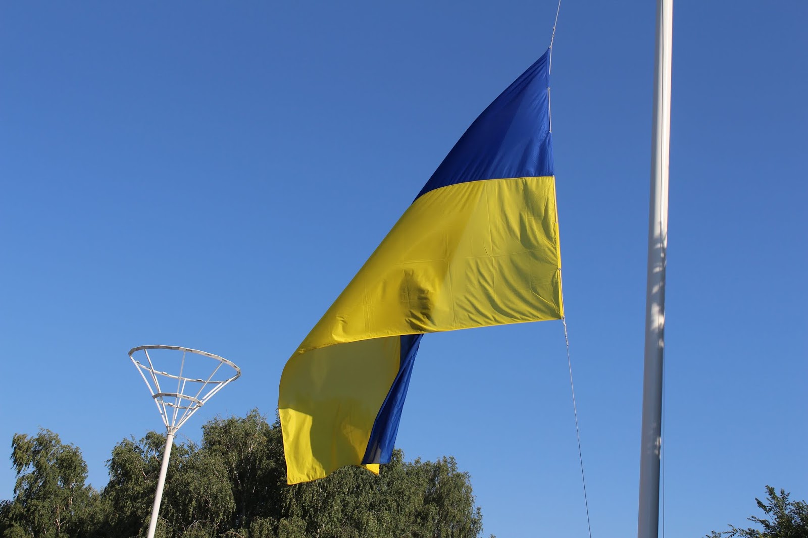 Почему украинский флаг. Флаг Украины 1991. Флагшток Украины. Украинский флаг. Проекты флага Украины.