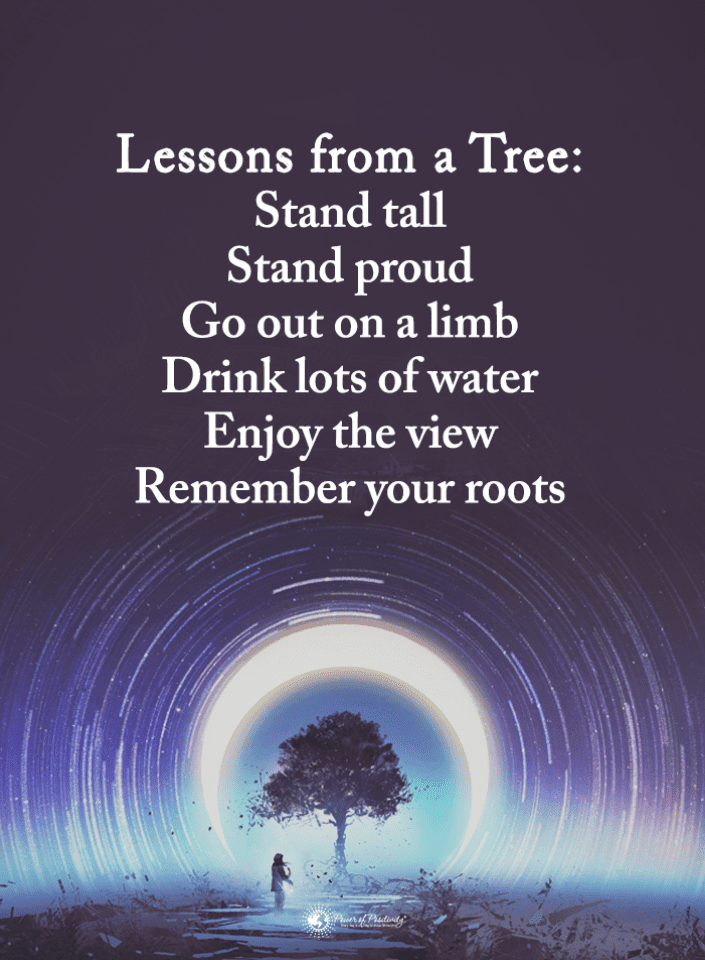 Life Lessons from a tree Stand tall stand proud Go out on a limb. 101