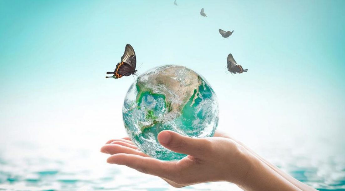 Contoh Pidato Peduli Lingkungan Sehat CIHUAHUA