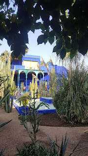 10 cose da fare a Marrakech: il giardino Majorelle