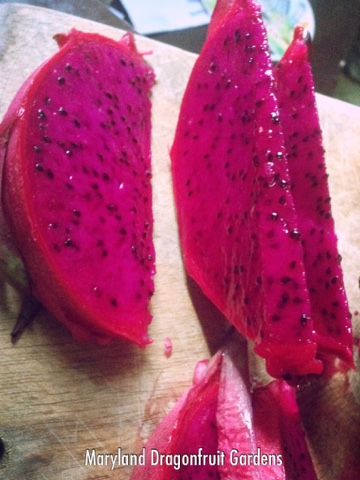 Surprising Benefits of Dragon fruit You Should Know