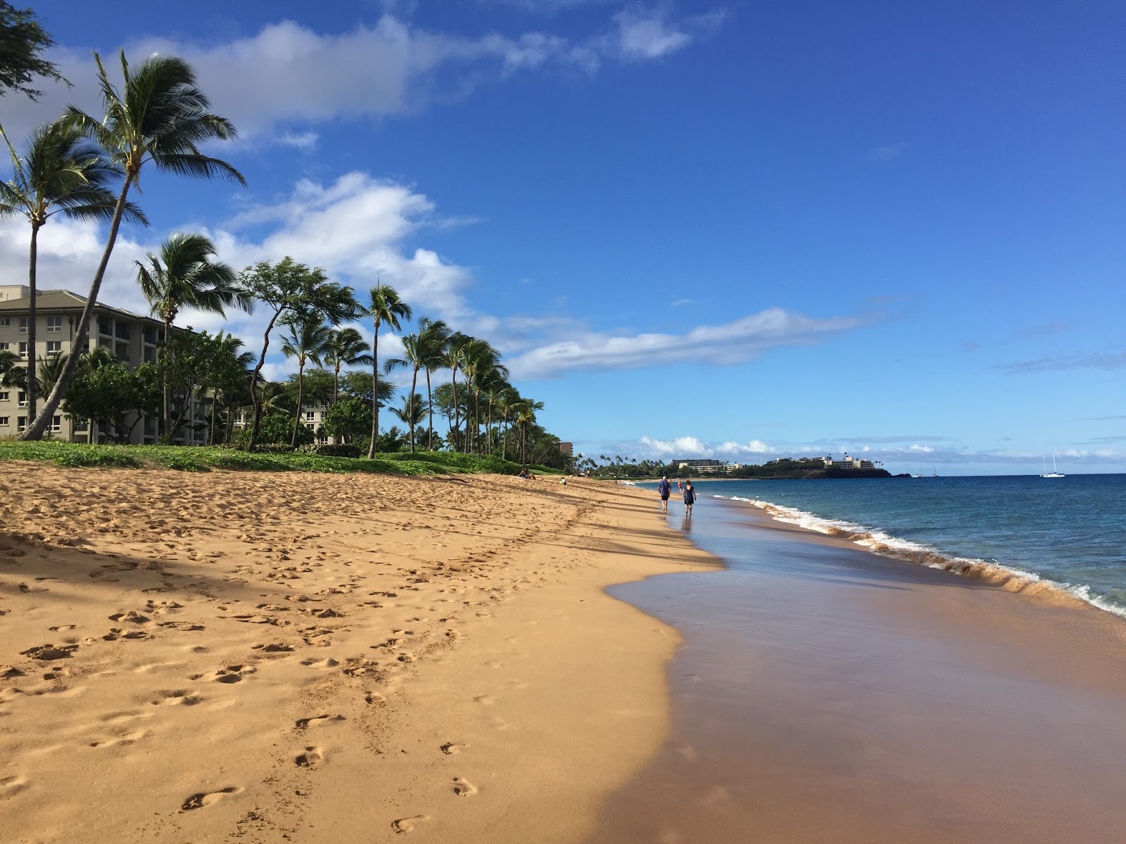 I Am Vagabond Oahu Hawaii