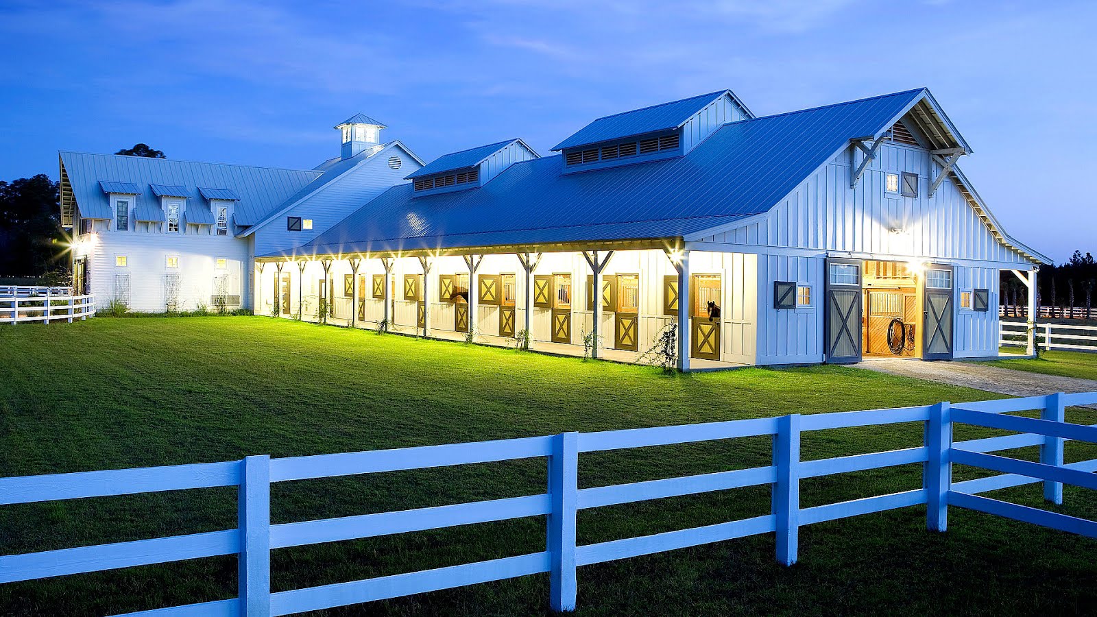 Horse Trainer Liability Insurance Horse Choices Horse Trainer Liability Insurance Horse Choices
