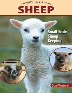 Sheep: Small Scale Sheep Keeping