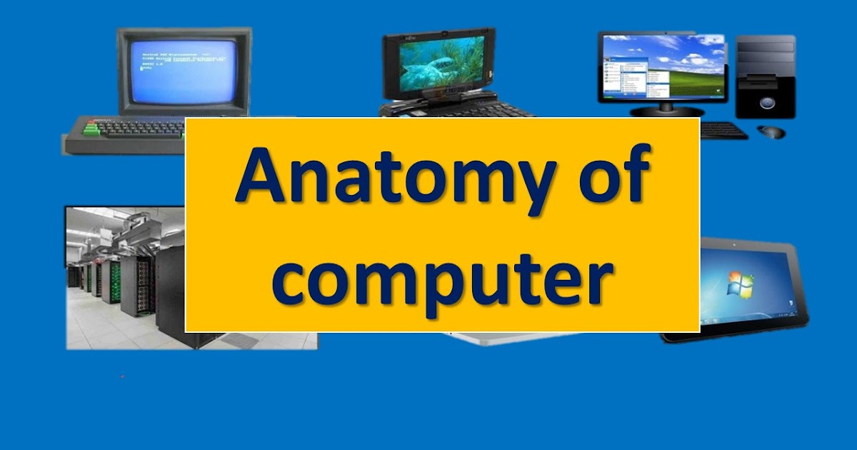 Anatomy of computer