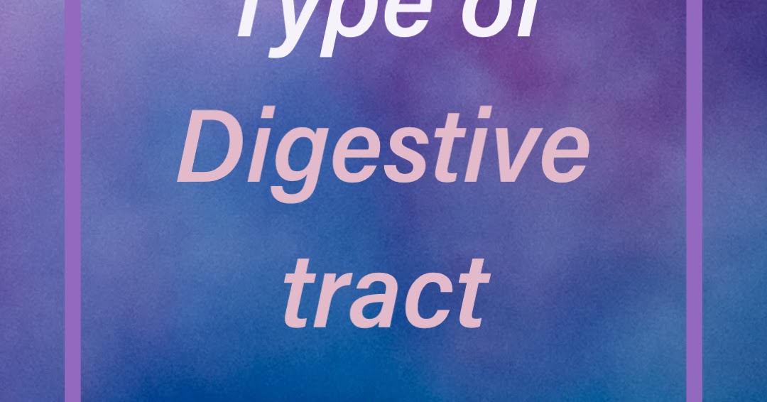 What does your digestive tract aka poop say about your health?