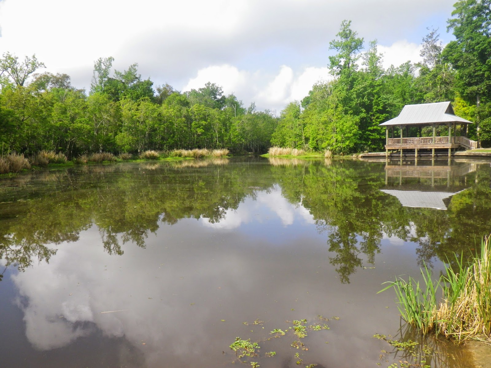 Doing It On The Road(Part II) Kayaking Palmetto Island State Park