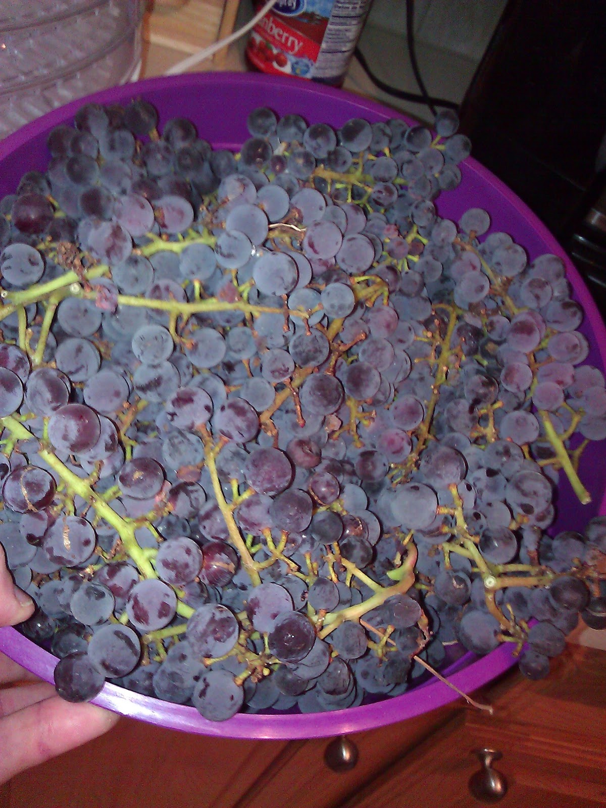 The Diabetic Camper The grapes of Wrath