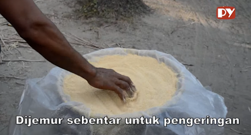 Begini Cara Membuat Gula Semut Kelapa