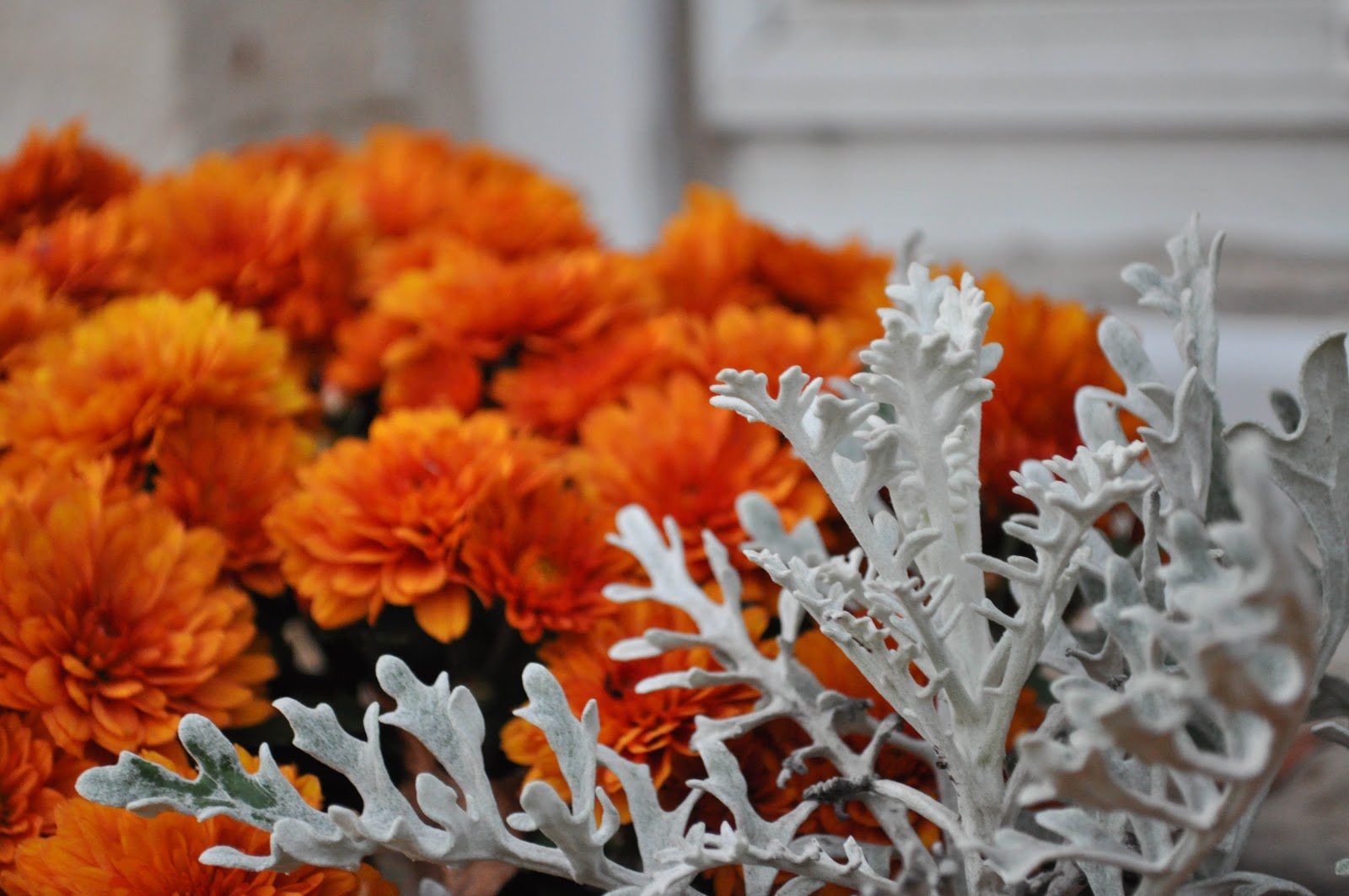 Just So Lovely: Our Outdoor Fall Decor