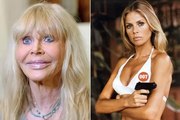 Britt Ekland Net Worth.