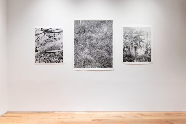 “Polemics of a Landscape” Exhibition at Denny Dimin Gallery