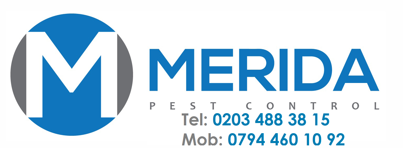 Merida Pest Control - Commercial, Residential Pest Control Services
