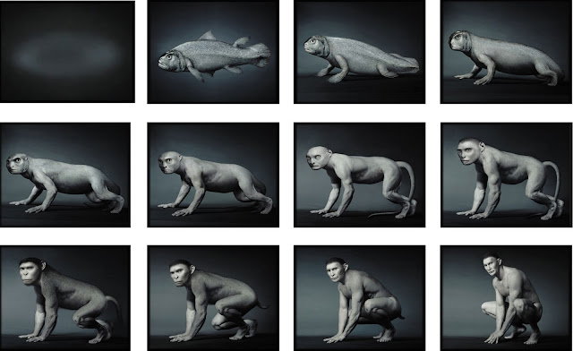 Phải chăng quá trình tiến hóa trên là thật? Phải chăng quá trình tiến hóa trên là thật