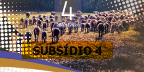 Lição 4 – O Que Cristo Fez por Nós