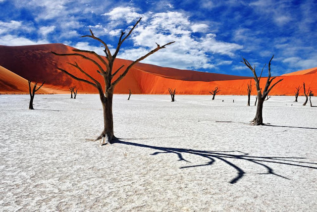 Namib desert.
