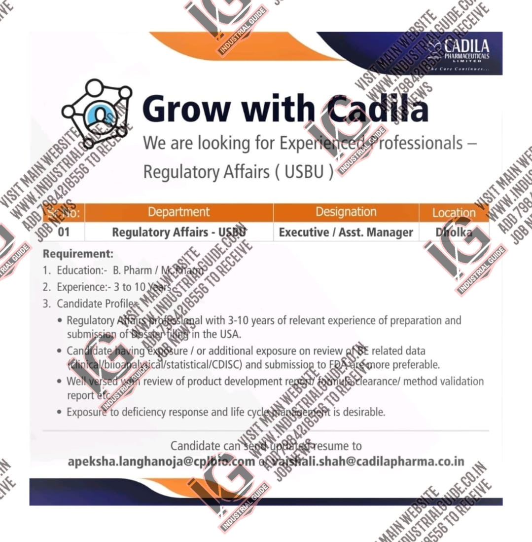 cadila pharma job vacancy 2013
