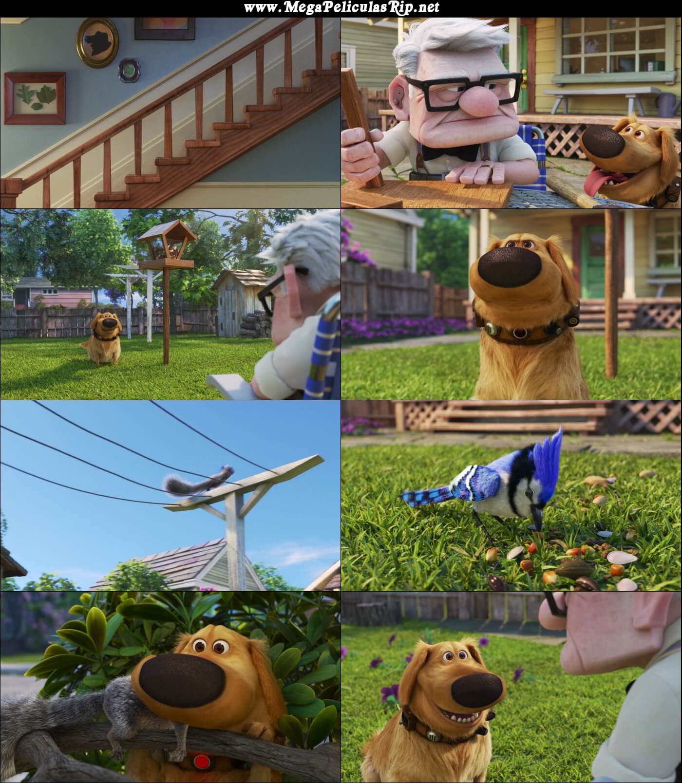 Dug Days Temporada 1 1080p Latino