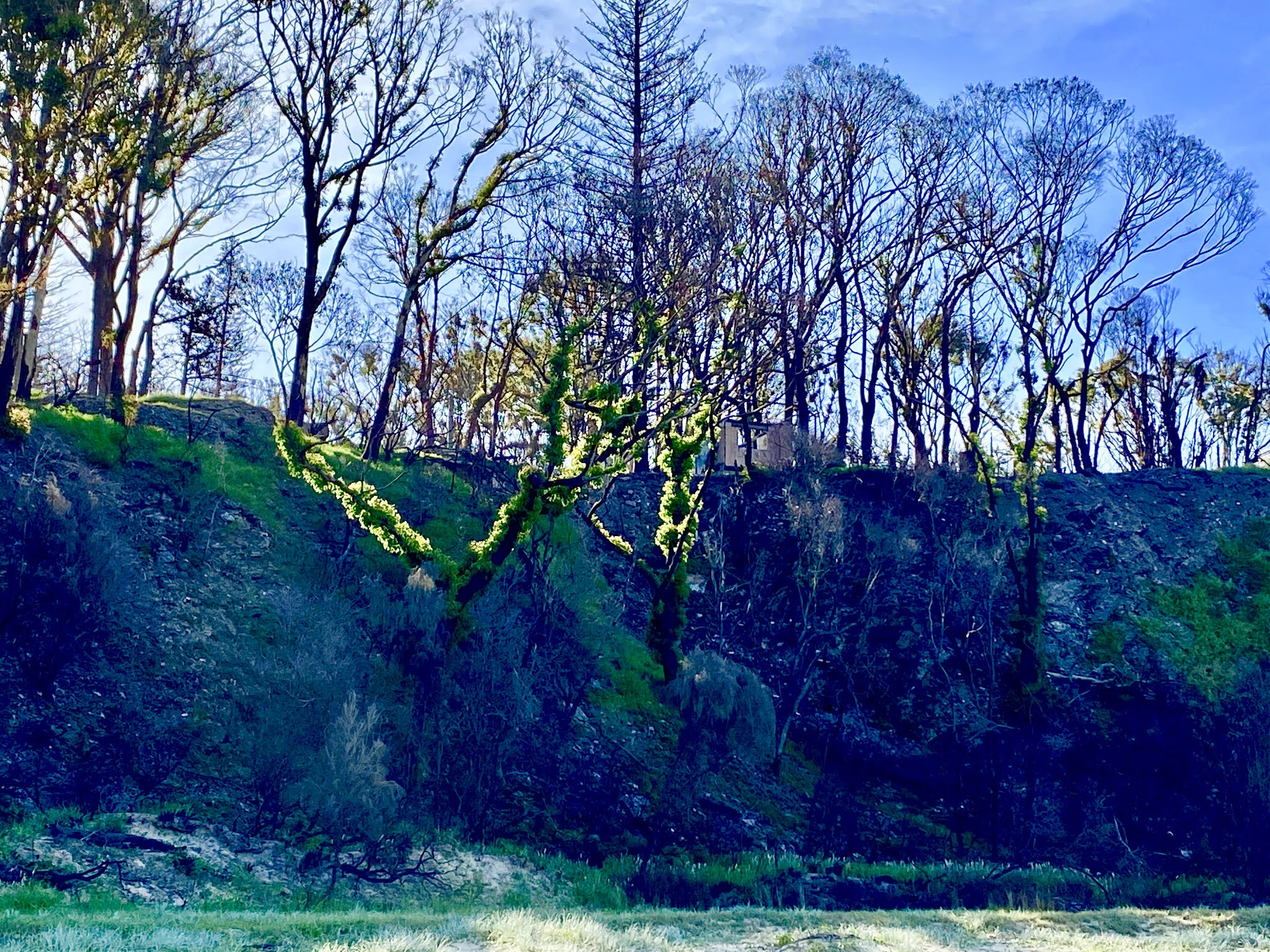 Rosedale.and Beyond (Eurobodalla) Rosedale Beach (Boatshed Beach