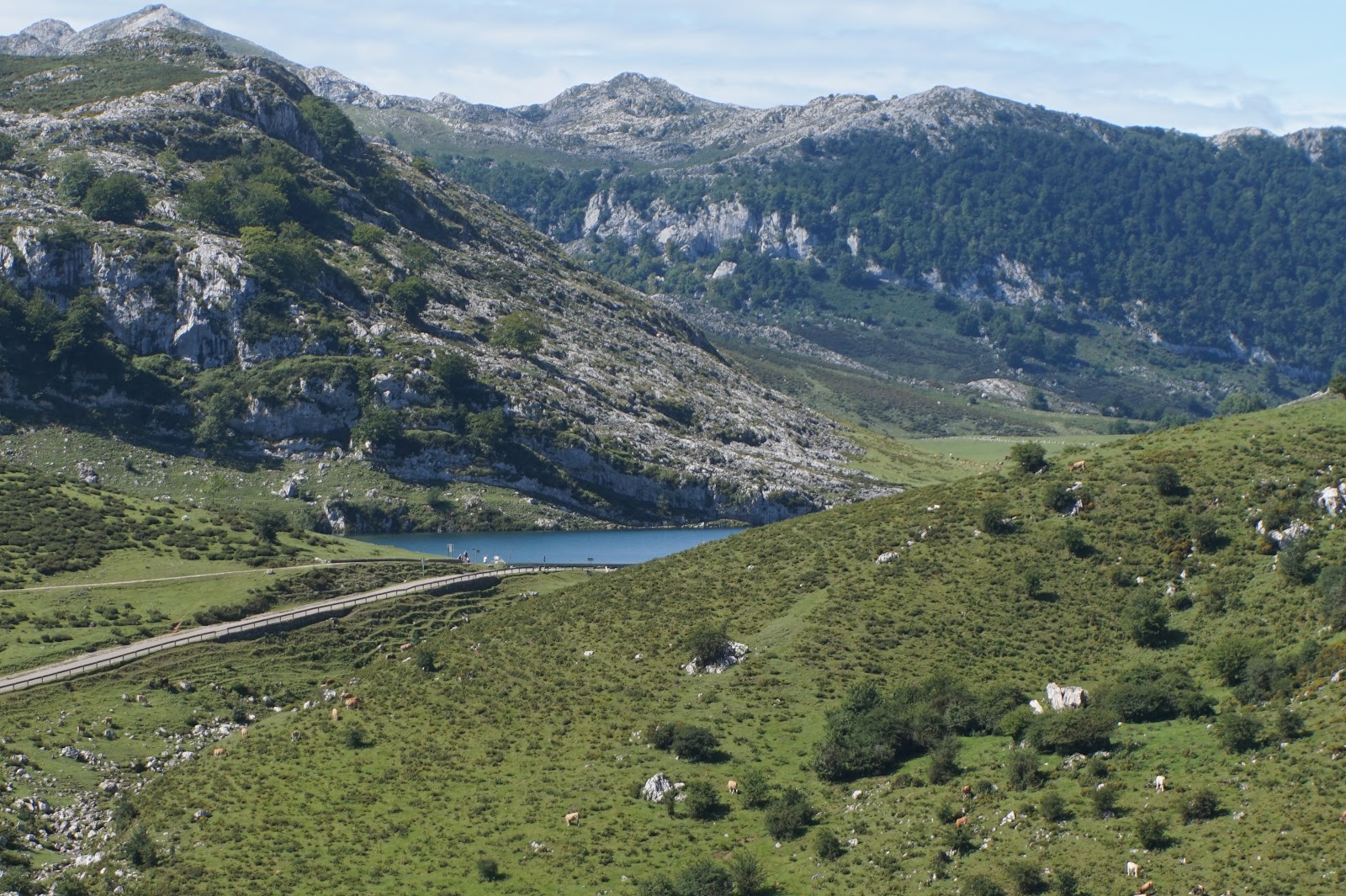 PIEDRAS, PIEDRECITAS Y PEDRAZAS Lagos de Covadonga "Cangas de Onís