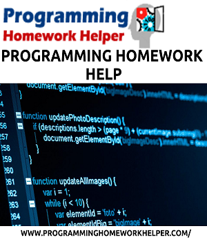programming homework solver