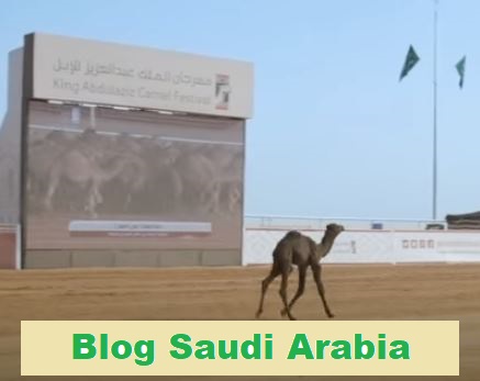Blog Saudi Arabia
