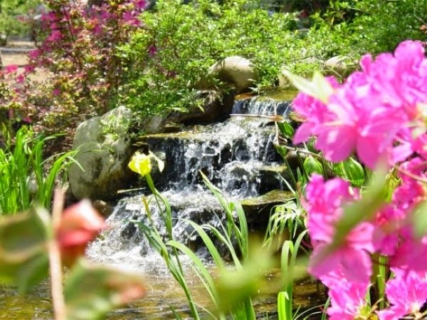 A relaxing garden and backyard waterfalls