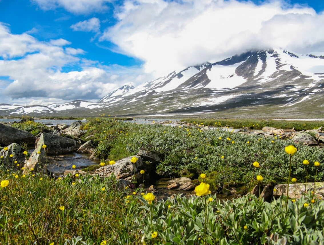 Stora Sjöfallet/Sarek(2008)