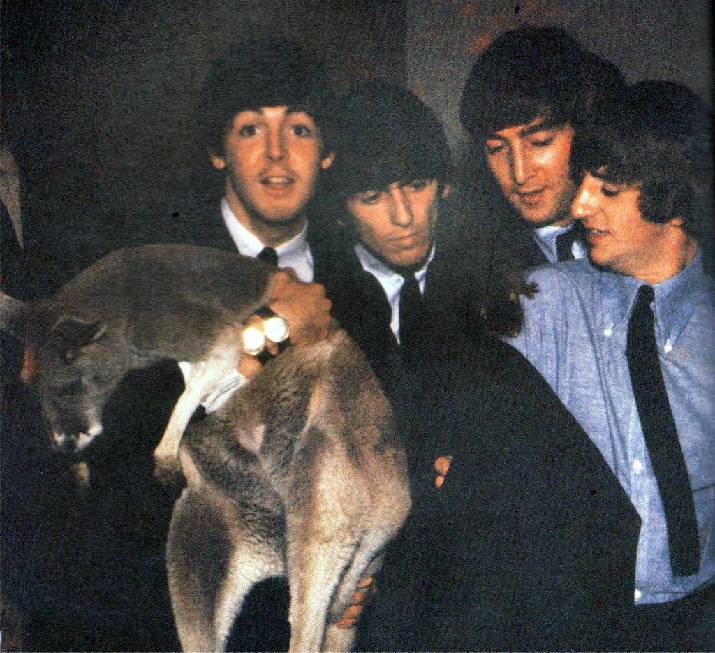 Meet the Beatles for Real Tie me Kangaroo Down