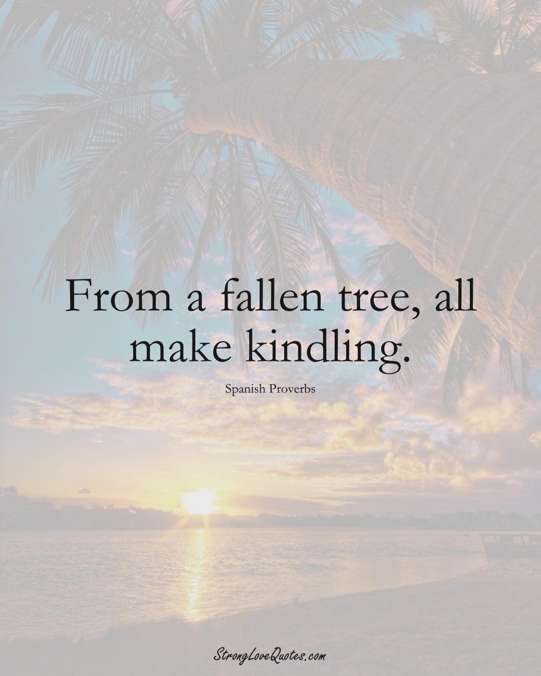 From a fallen tree, all make kindling. (Spanish Sayings);  #EuropeanSayings