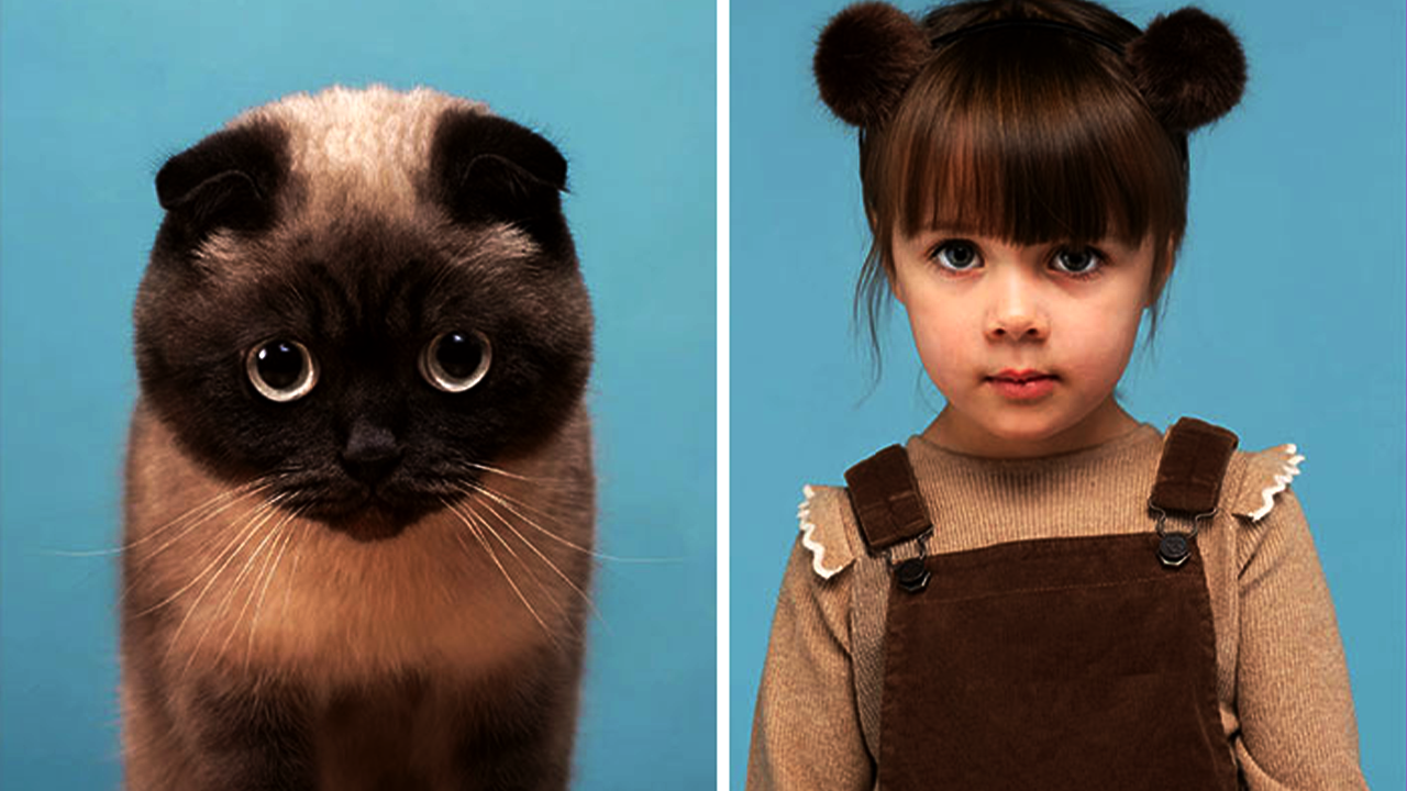 15+ HealthPhotographer Takes Pictures Of Cats And Humans That Are