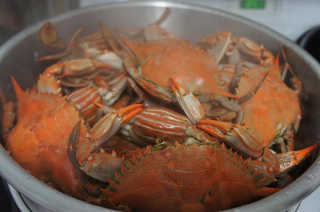 Is Eating Crab Healthy for Your Body? Live Lobster Exporter, Live