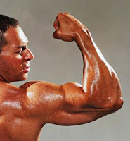 Sistem Otot Pada Manusia - ABDISR BLOGGER