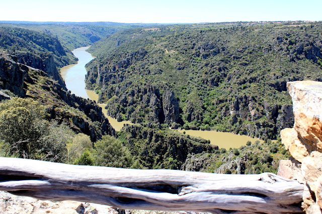 Mirador de las Barrancas. Fariza