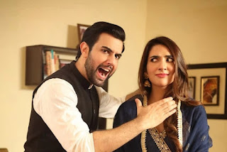 Sila E Mohabbat (HUM) Drama Wiki, Actress, Story, Episodes, Streaming
