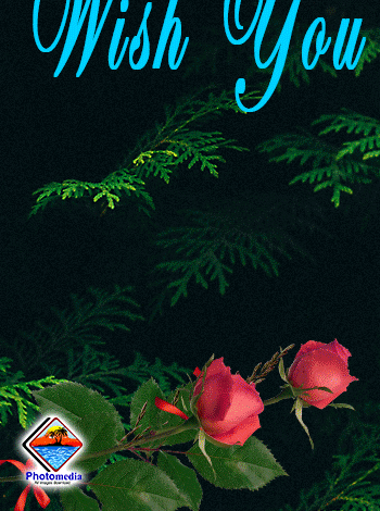 friendship%2Bday%2Bgif%2Bwith%2Bflower friendship day gif with flower