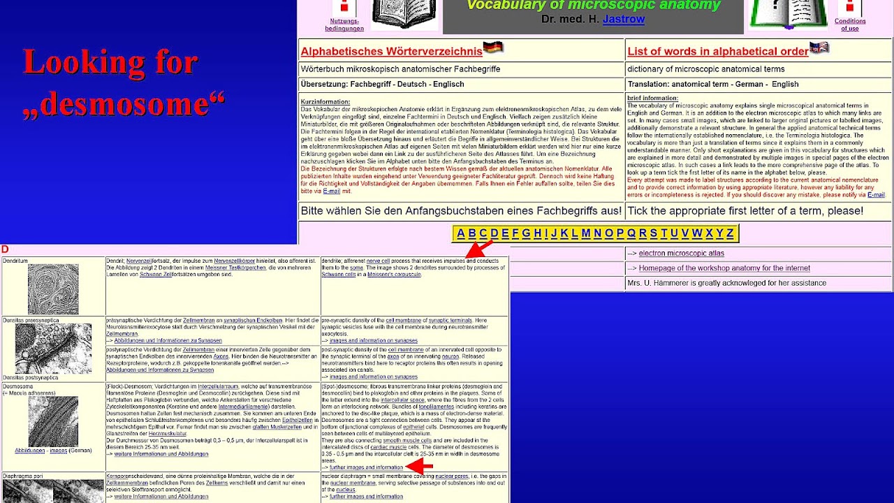Yellow Section Of Erg Yellow Choices