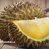 Hanya Kerana Sebiji Durian, Aku Belajar Tentang Kehidupan