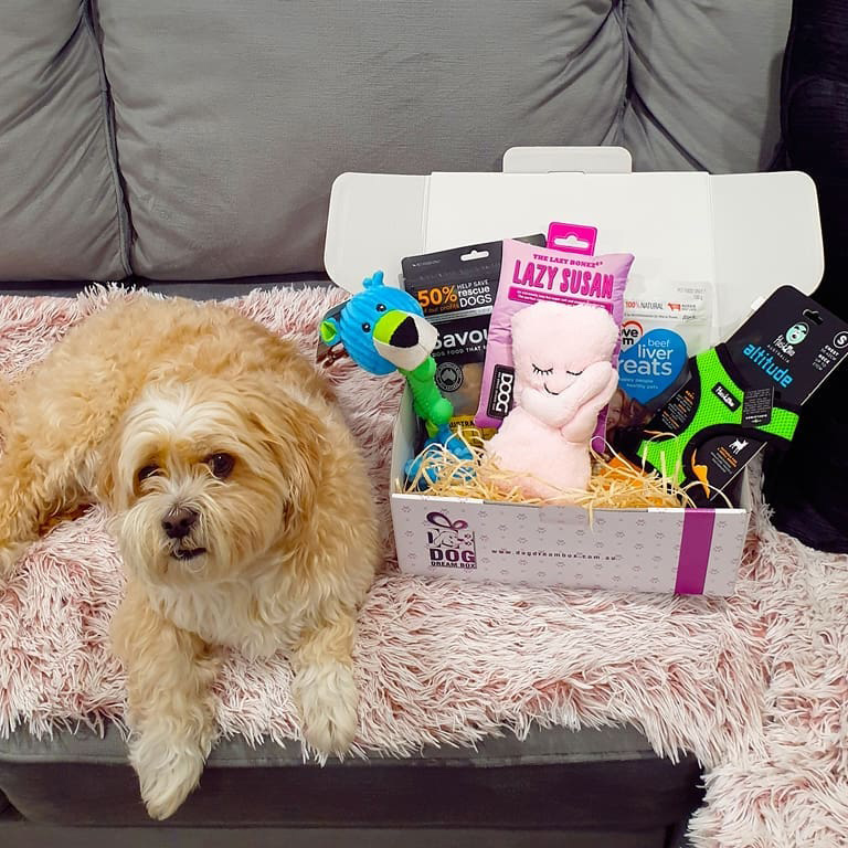 Dog Dream Box Subscription Box & Gift Boxes Australian Dog Lover